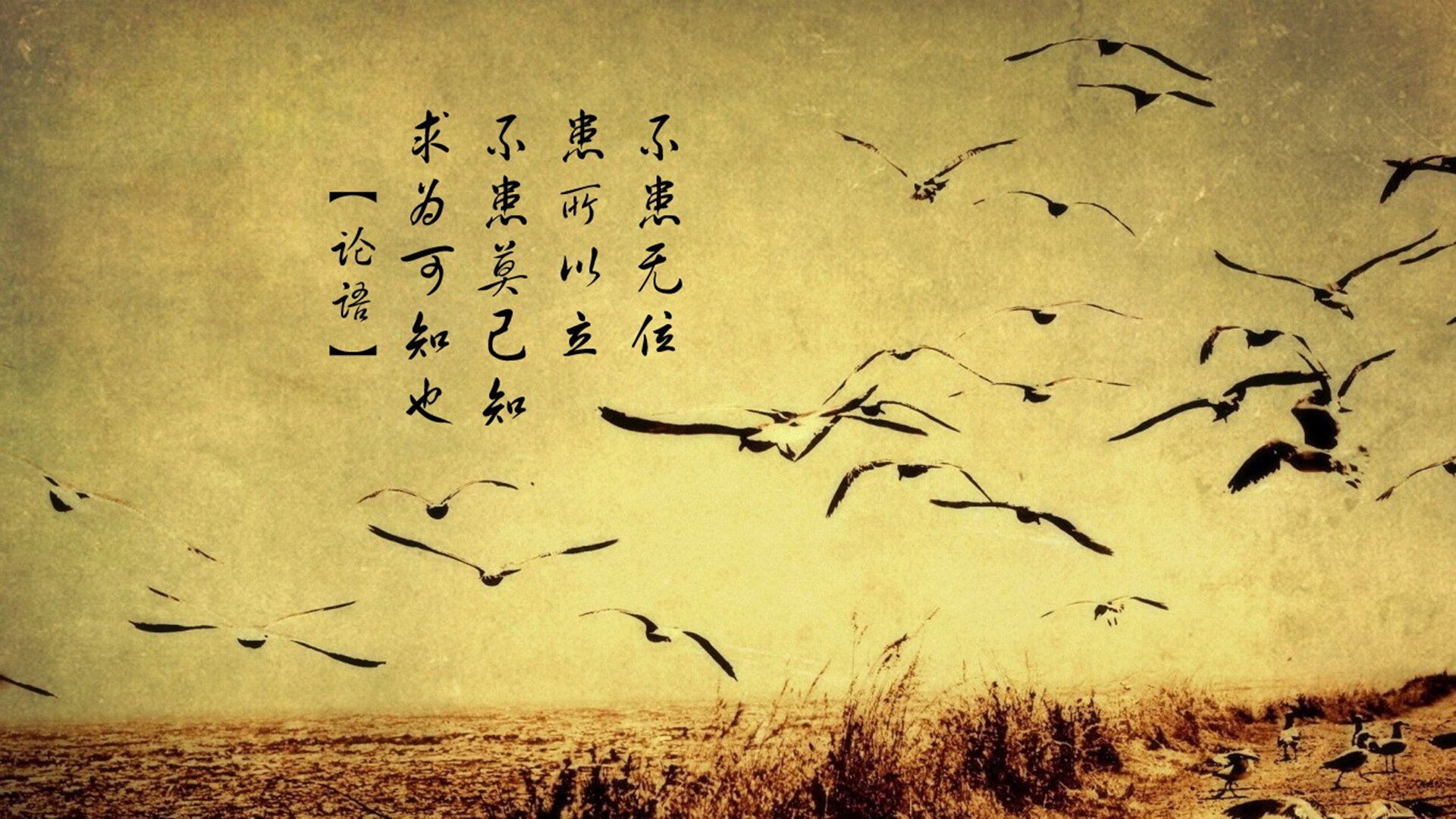 踢毽子挑战赛：中华传统韵味，踢毽子比赛游戏规则