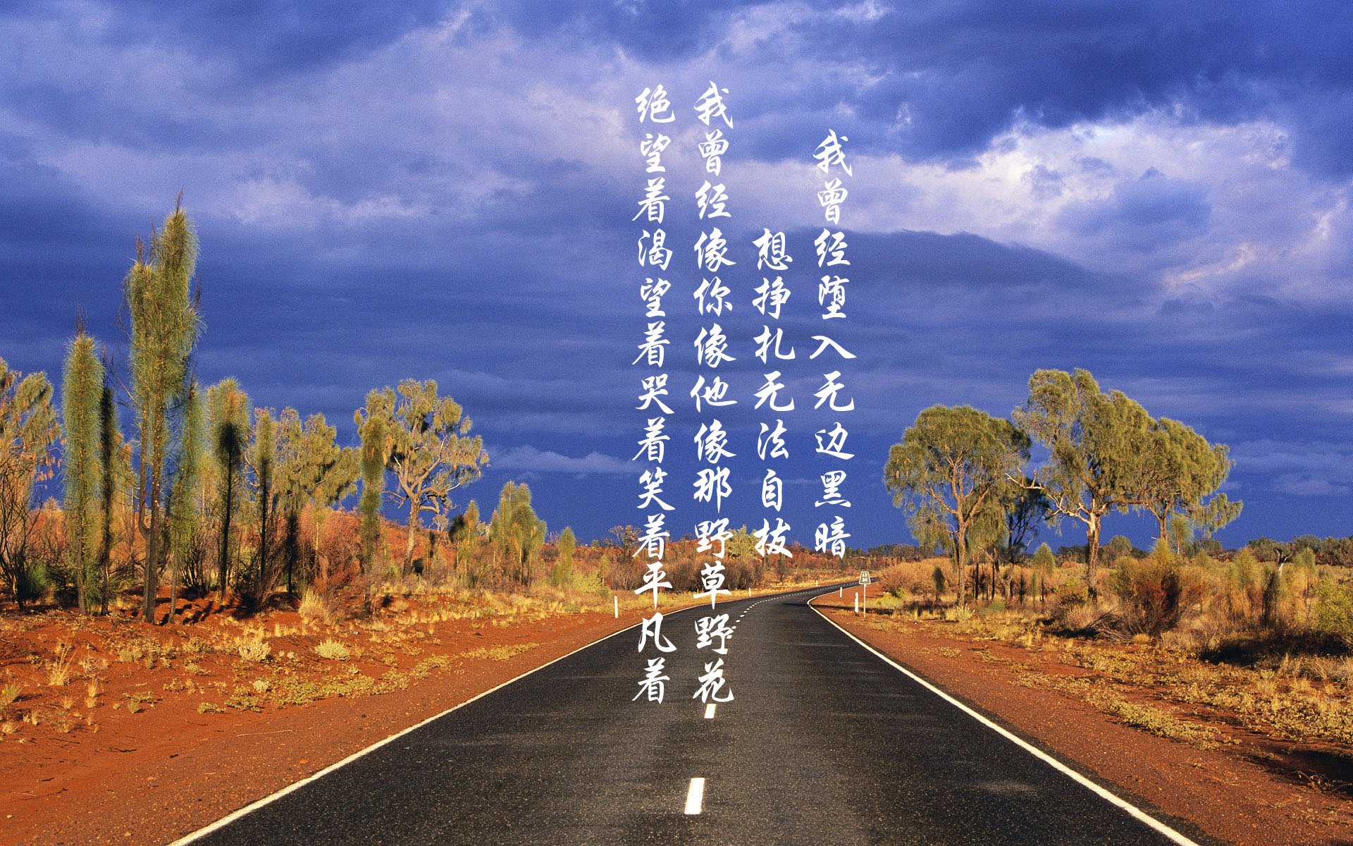 亚冠卫冕冠军再次展现实力，轻松取胜，亚冠的冠军