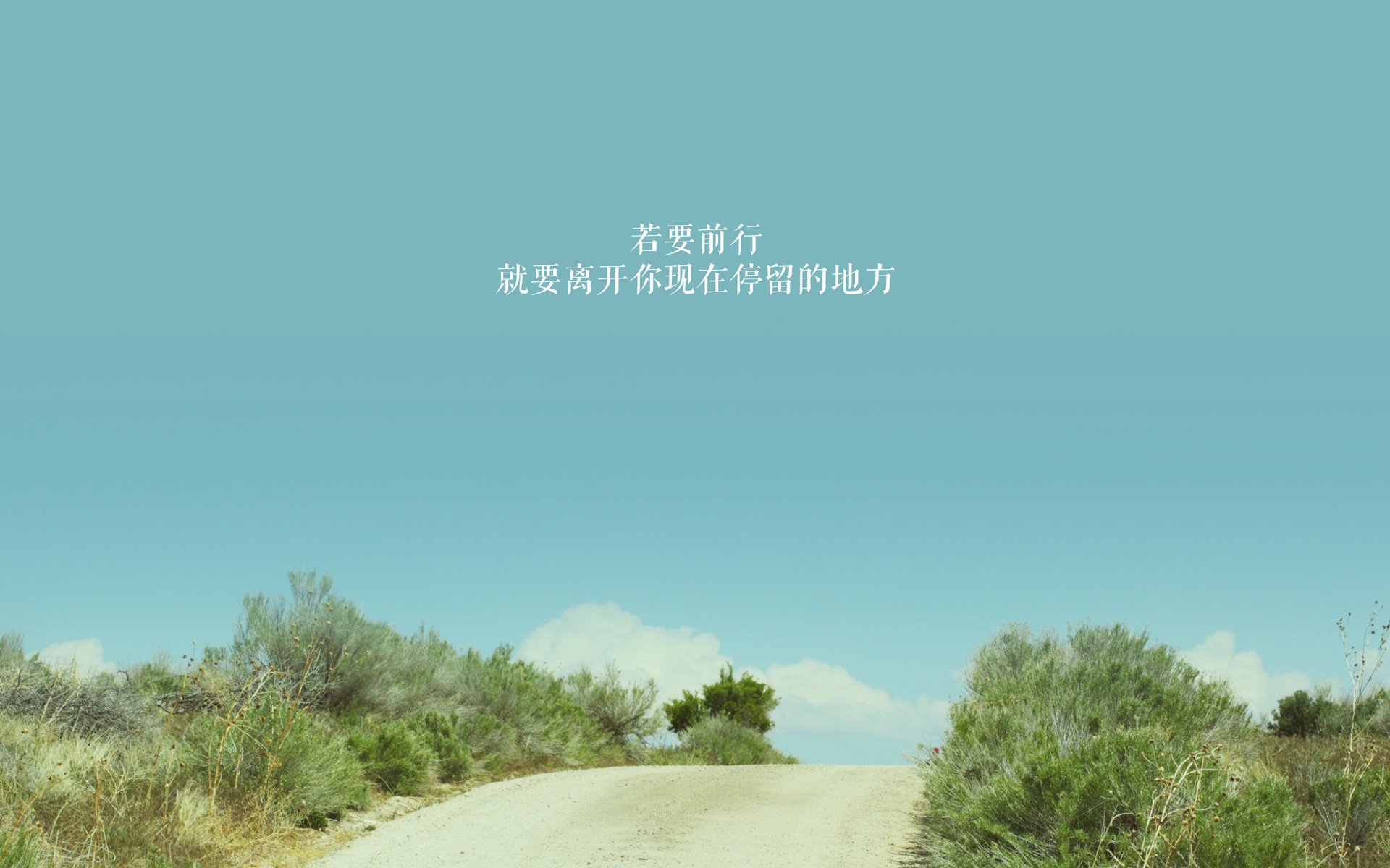 广东宏远连续夺冠纪录备受关注，广东宏远夺冠阵容
