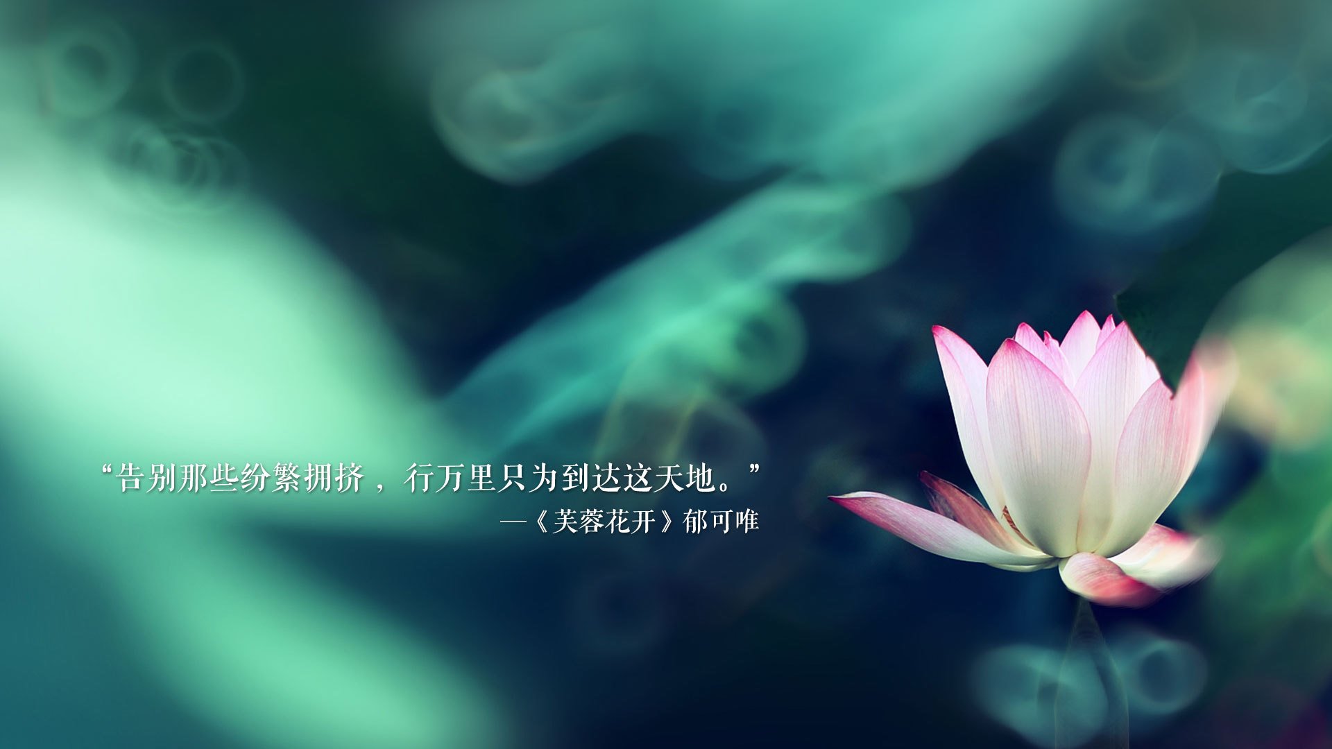 河床新秀球员崭露头角，河床队客场球衣