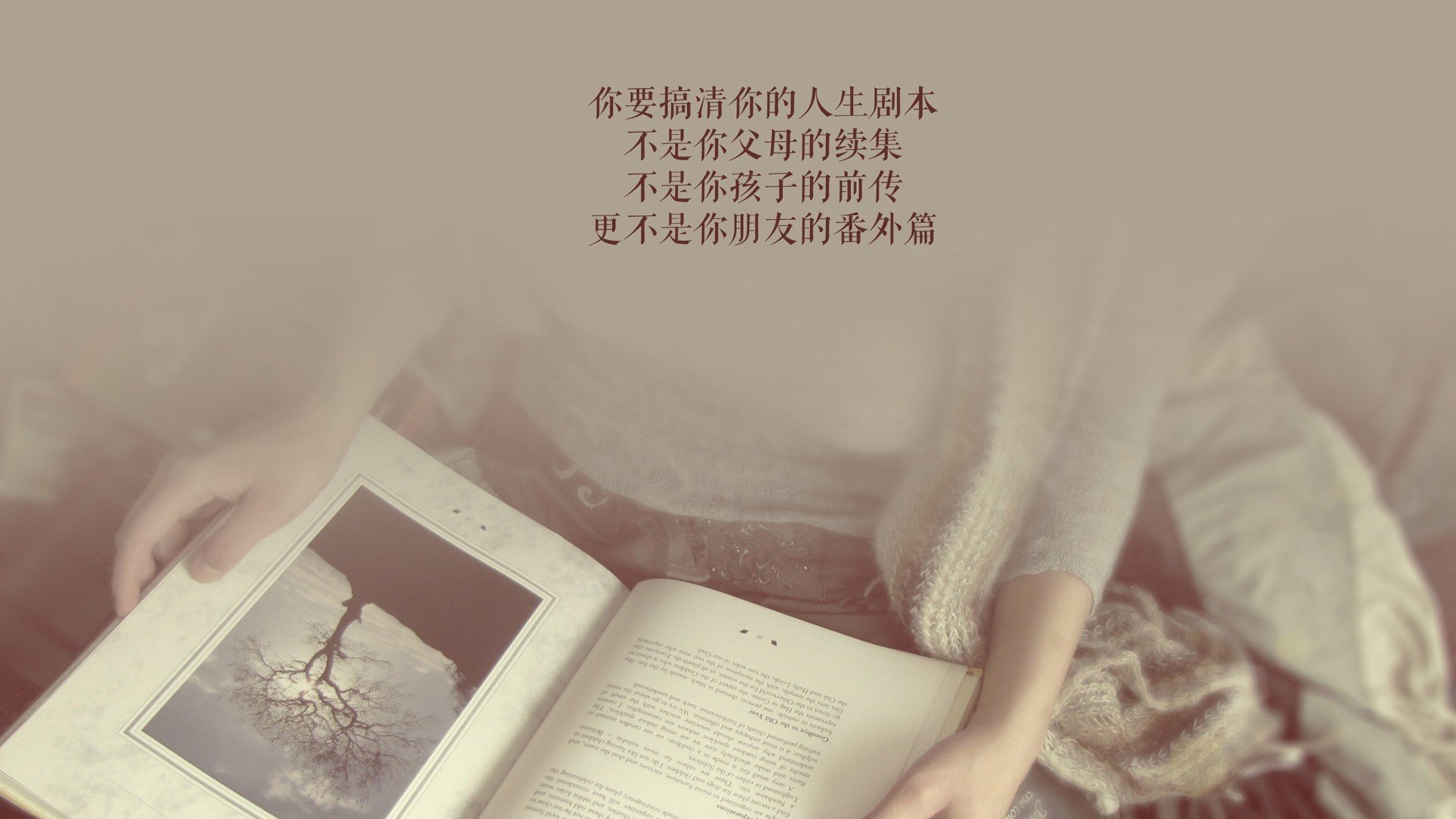 法甲联赛场馆音效系统对观众情绪影响评估