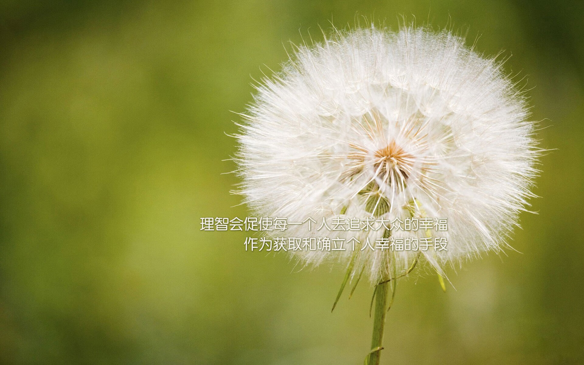 中超俱乐部设立每月体能复测机制保障训练节奏，2021中超训练服